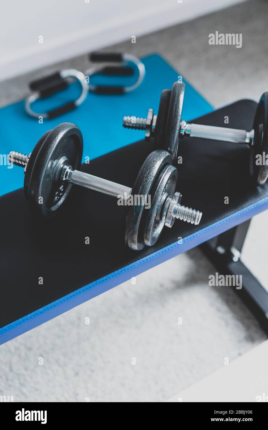 fitness dumbbells online