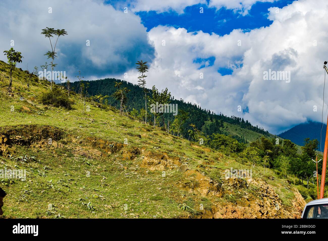 Beautiful shot of a landscape out side a village with lush green trees of willow,pine and walnut near Pahalgam Kashmir,India. Stock Photo