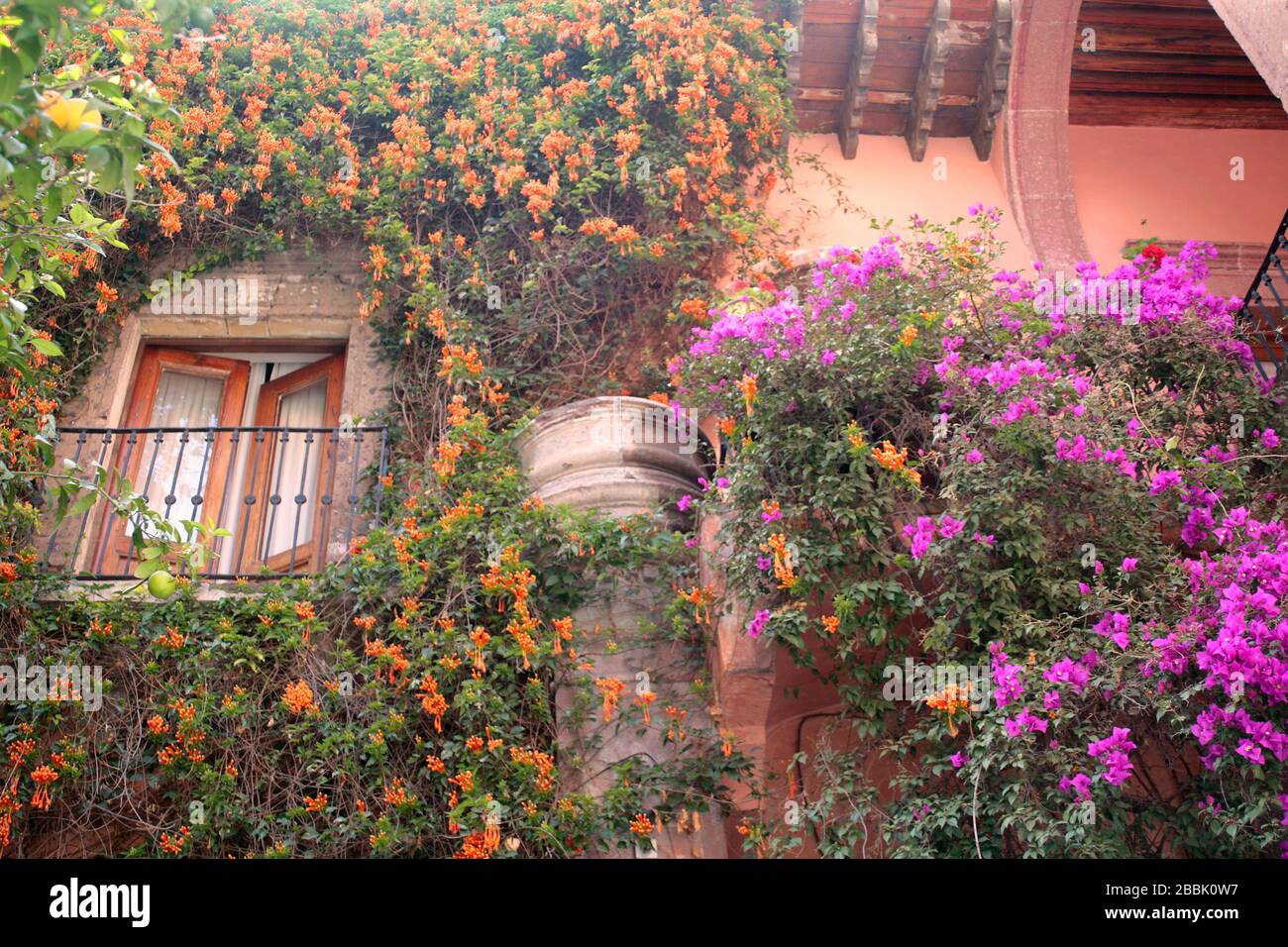 Window and flowers in San Miguel de Allende, Guanajuato, Mexico Stock Photo