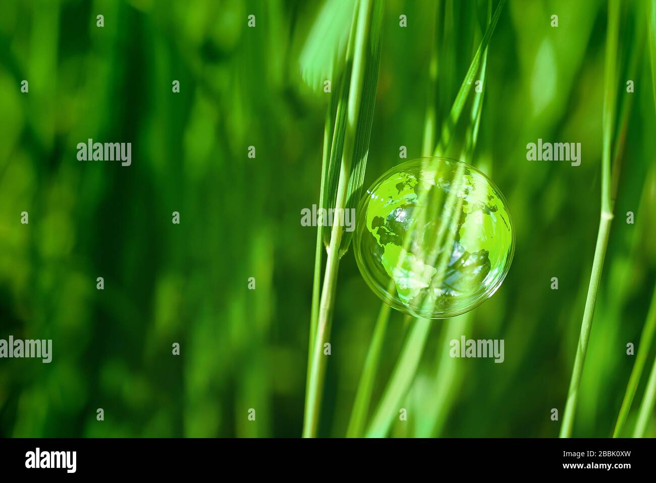 Soap ball, globe in the grass concept for environment and conservation Stock Photo