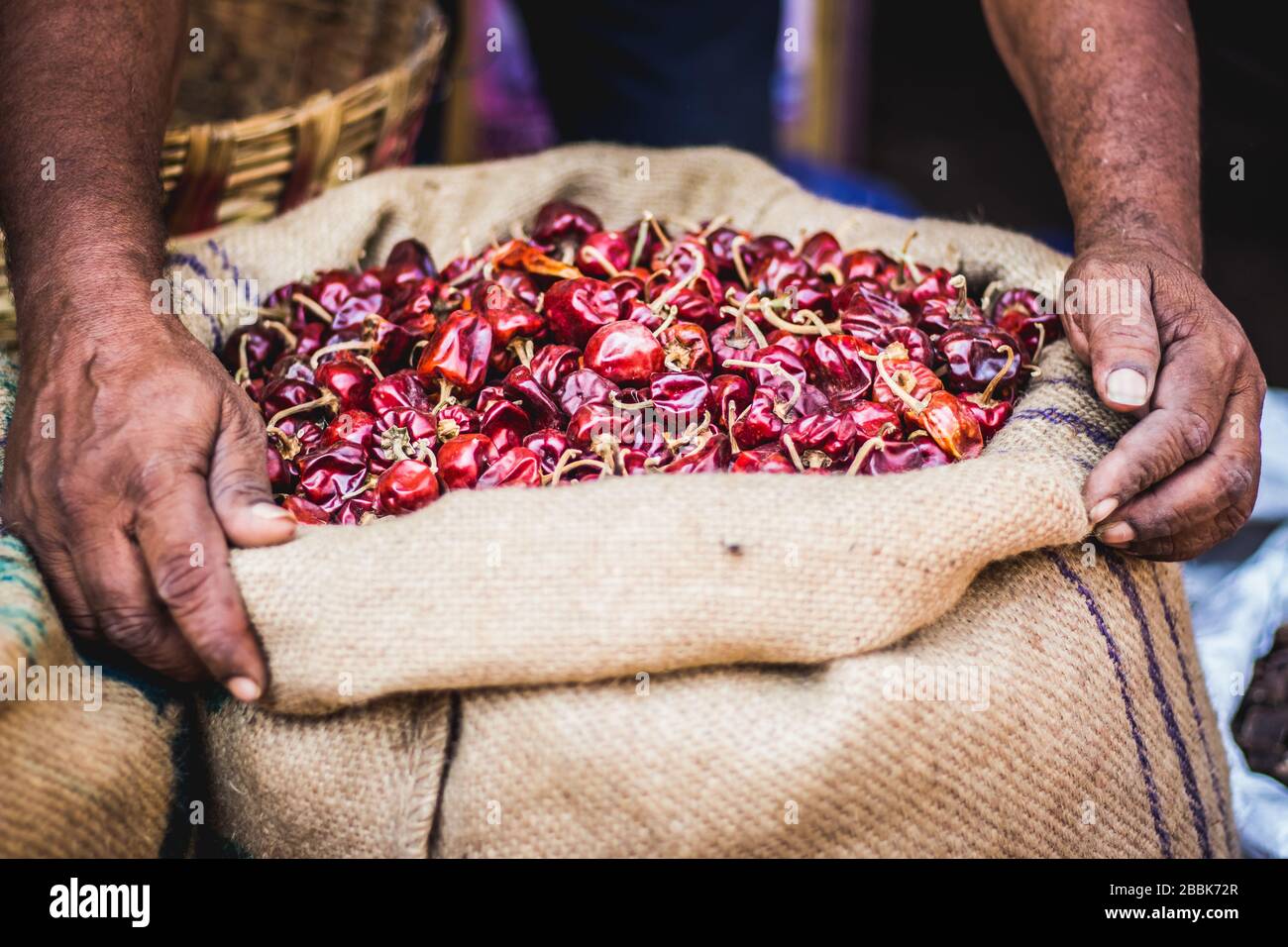Dried red chilli peppers. Old man hands holding a big handful of spicy red chilli on red chilli background for cooking.food concept. Top view. Street Stock Photo