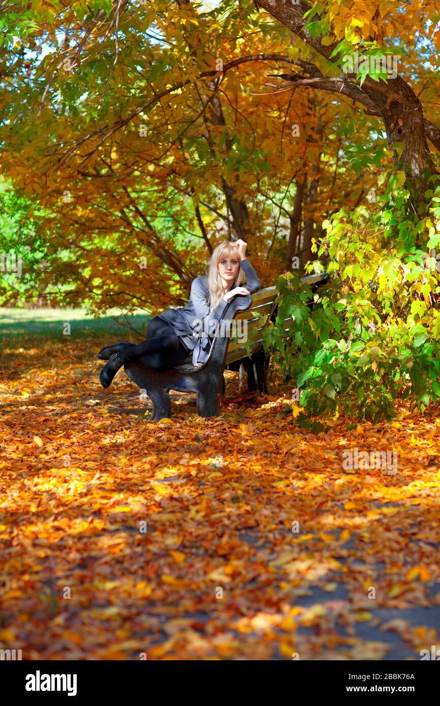 Beautiful young woman sitting on a bench in autumn park Stock Photo - Alamy