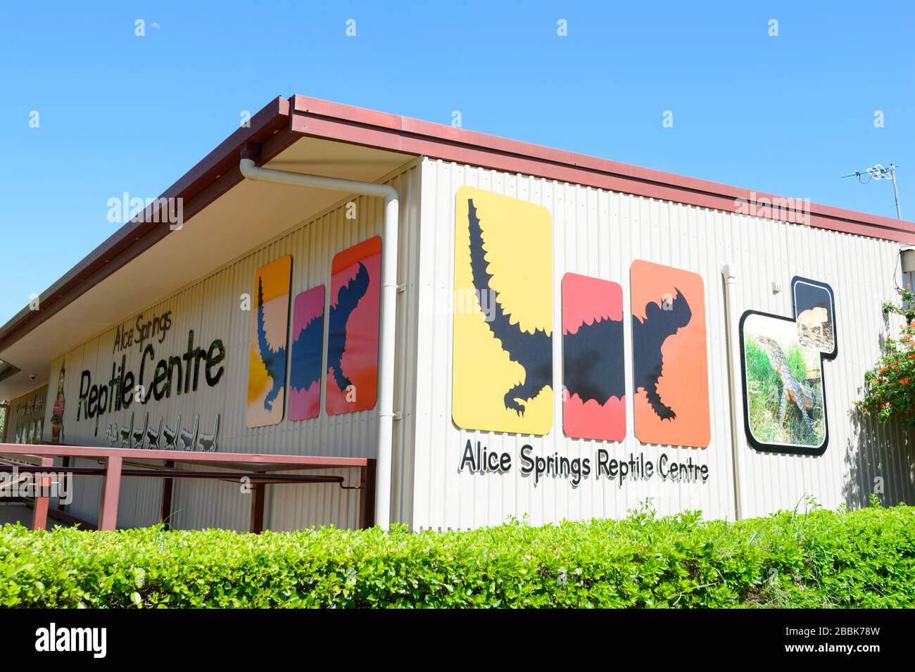 Alice Springs Reptile Centre, Northern Territory, NT, Australia Stock