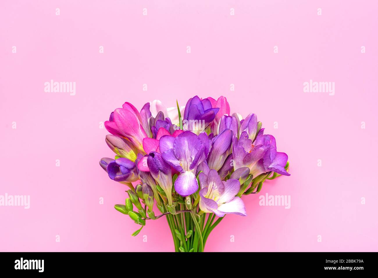 Bouquet of sprig freesia flowers isolated on pink background Floral holiday card Top view Flat lay Stock Photo