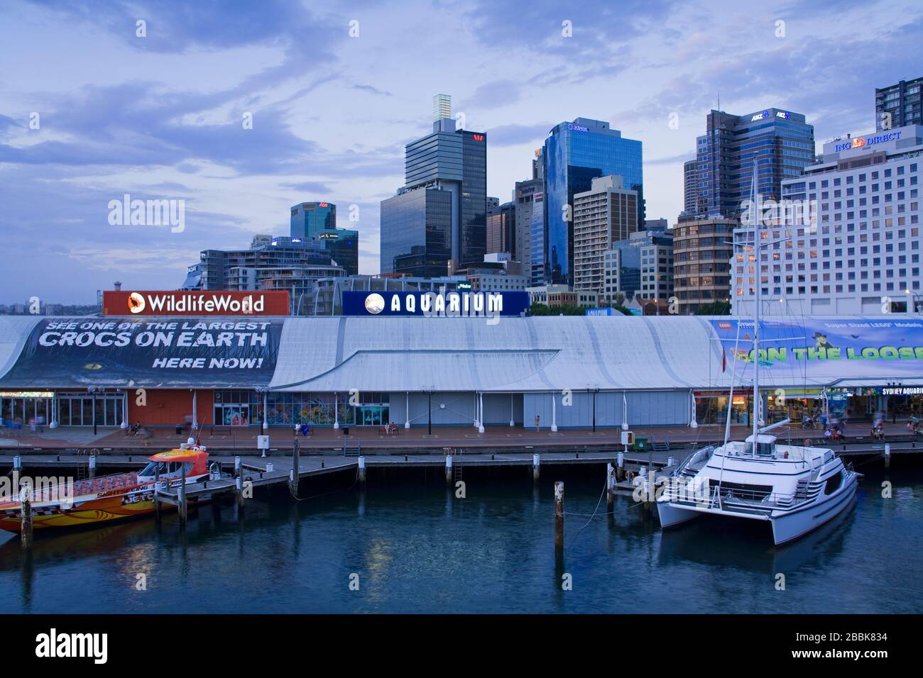 Wildlife World & Aquarium in Darling Harbour,Central Business District
