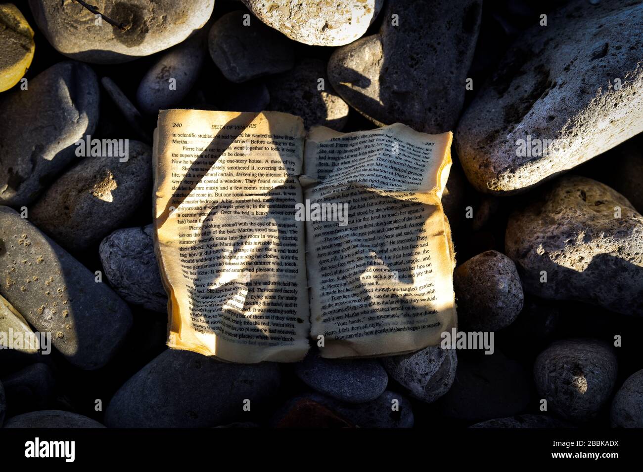 granite science - old book on stones background Stock Photo