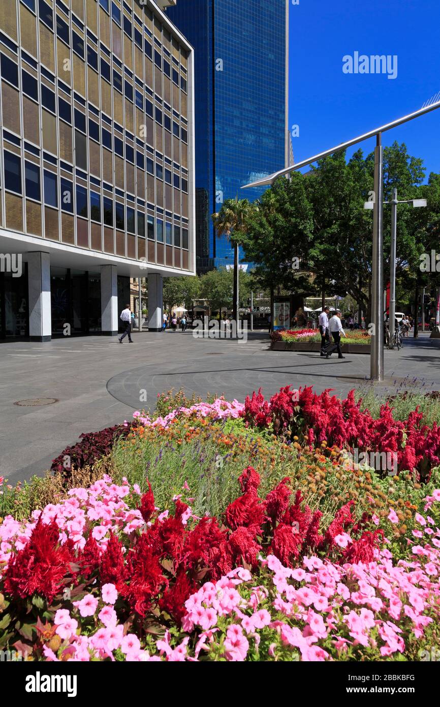 Amp building circular quay australia hires stock photography and