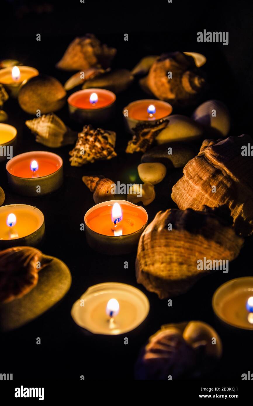Flame Shells Flame shells hi-res stock photography and images - Alamy