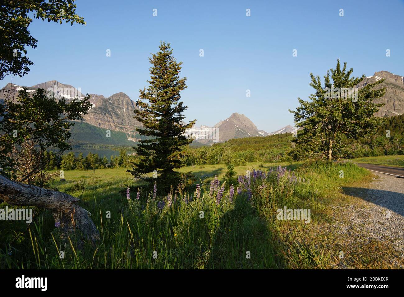 Mountain scenery in Glacier National Park in Montana USA Stock Photo ...