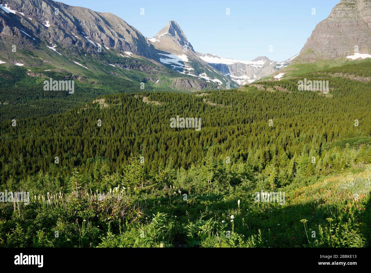 Mountain scenery in Glacier National Park in Montana USA Stock Photo ...