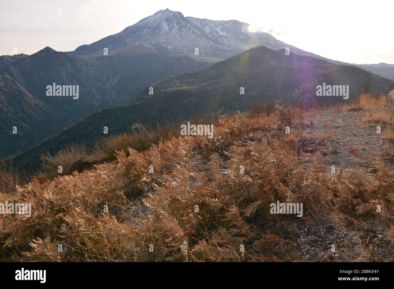 The east side of Mount Saint Helens seen in afternoon light from the ...