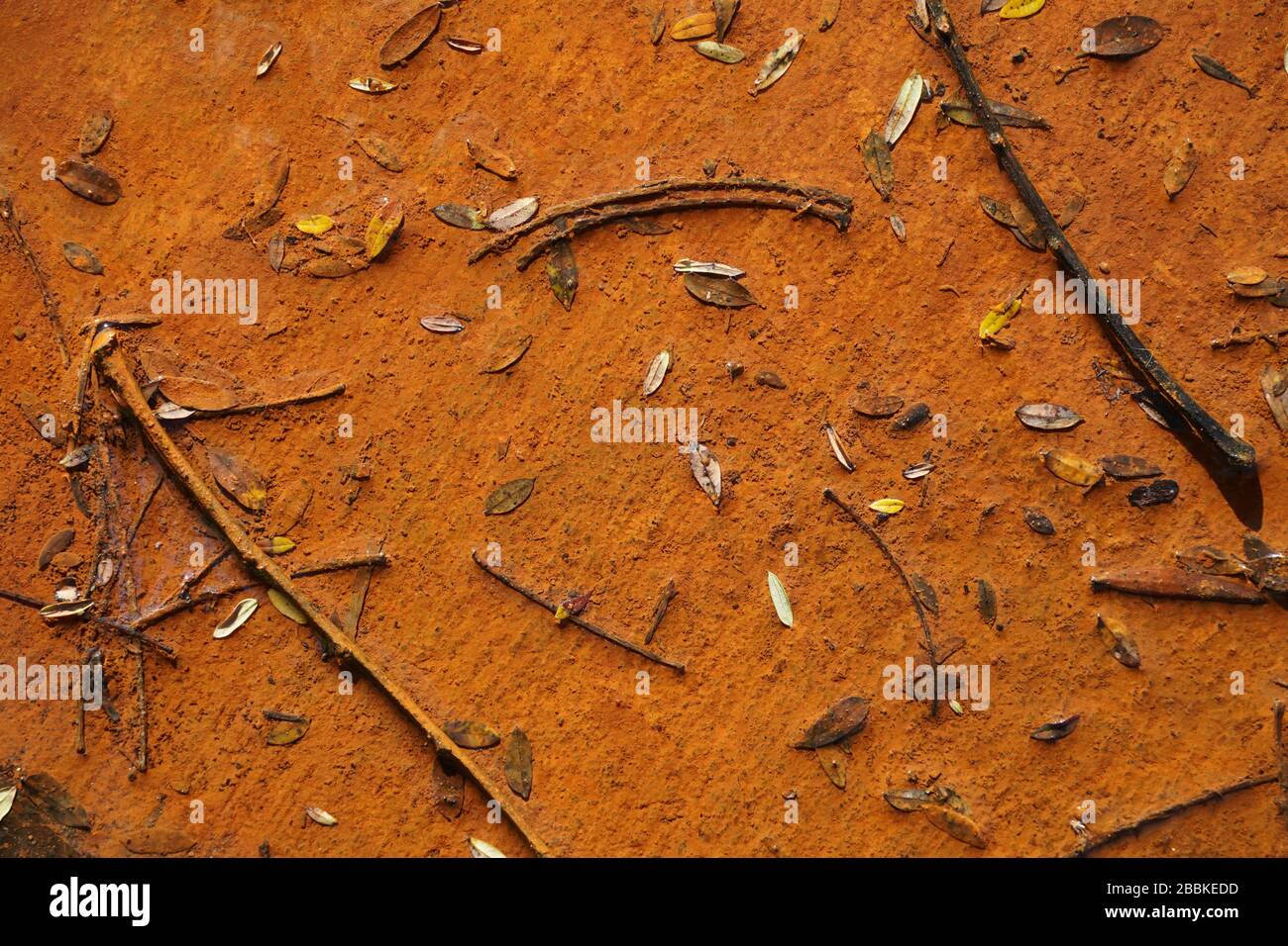 Abstract created by ironstained water running from a leaking pipe