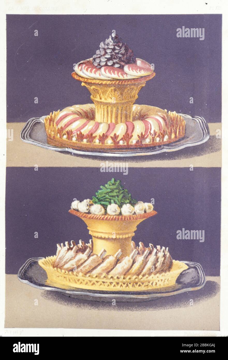 illustration painted by marcel ronjat for the cookbook le livre de cuisine by the chef jules gouffé, 1867 Stock Photo