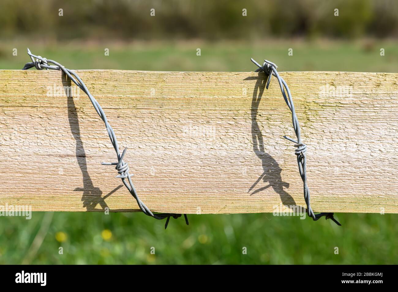 Barbed wire around a wooden fence Stock Photo Alamy