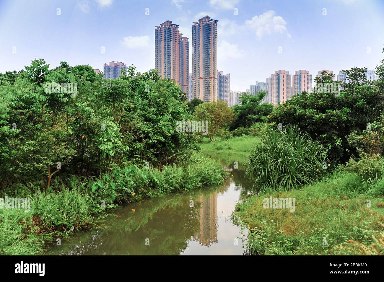 Residential high rise apartments viewed from Hong Kong Wetlands Park in