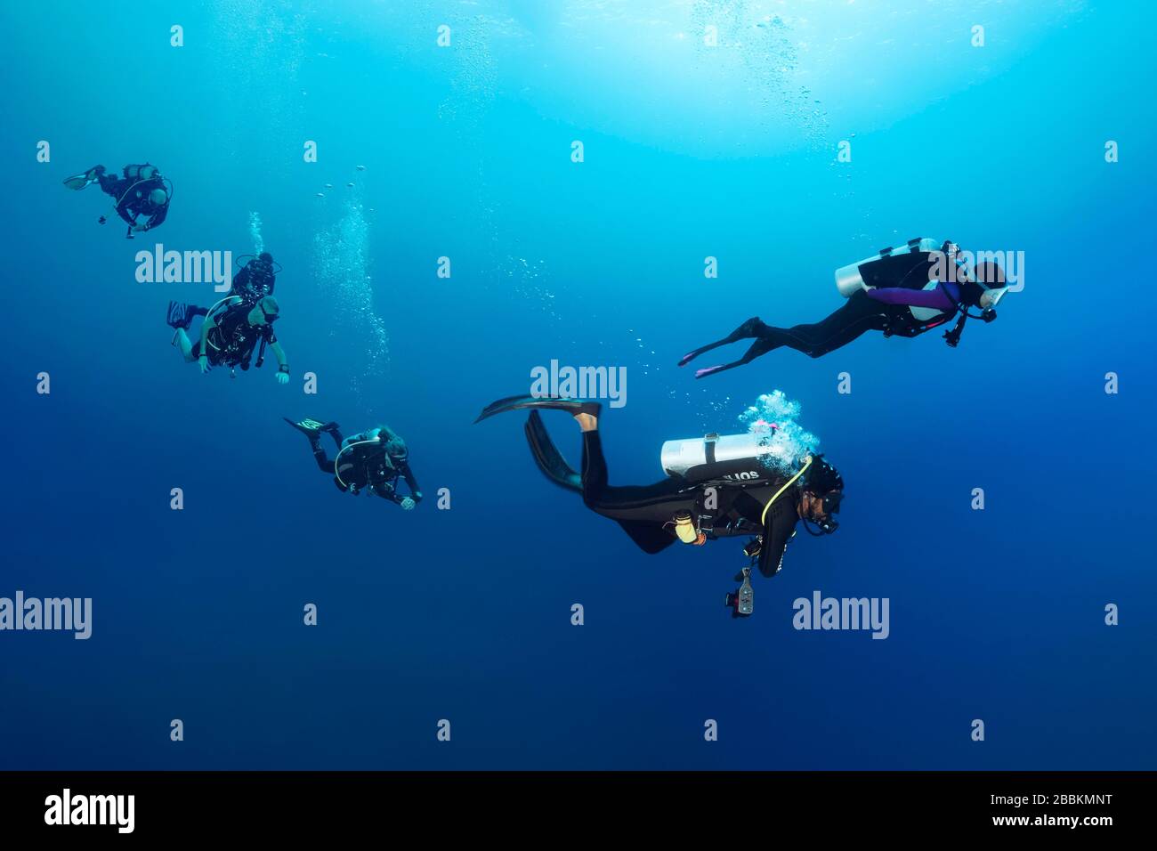 Group of divers diving in blue water, Indian Ocean, Maldives Stock Photo