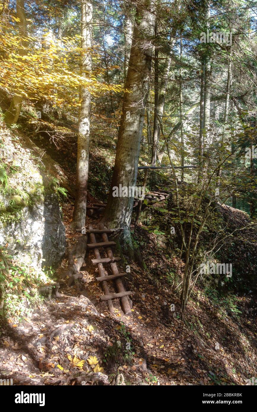 Wooden steps along the Prielom Hornadu trail in the Slovak Paradise in autumn Stock Photo
