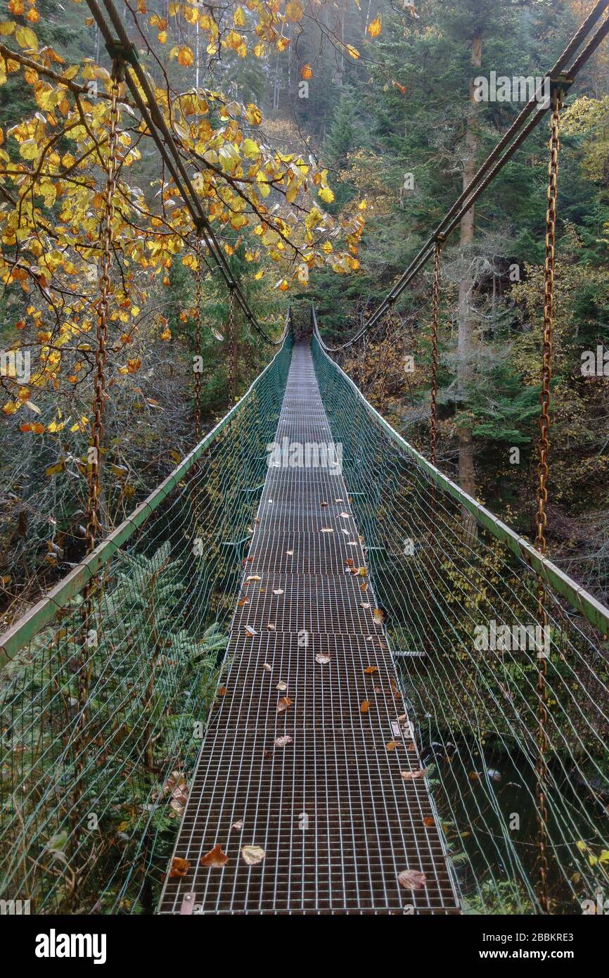 A bridge crossing the Hornad River Gorge in the Slovak Paradise in Autumn on the Prielom Hornadu trail Stock Photo