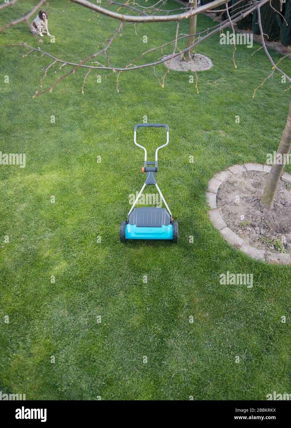 Lawnmover hand held machine. Hand lawn mower. Lawn mower on a green meadow Stock Photo Alamy