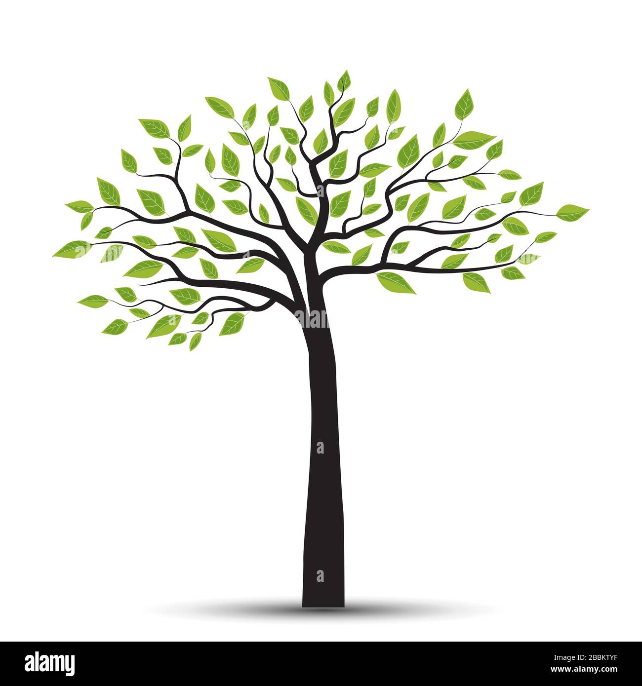 Trees with leaves Stock Vector Image & Art - Alamy