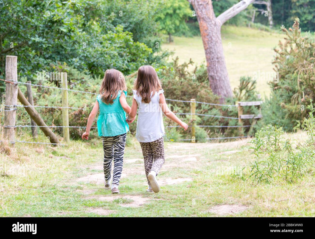 Children on a walk in the countryside. England Stock Photo