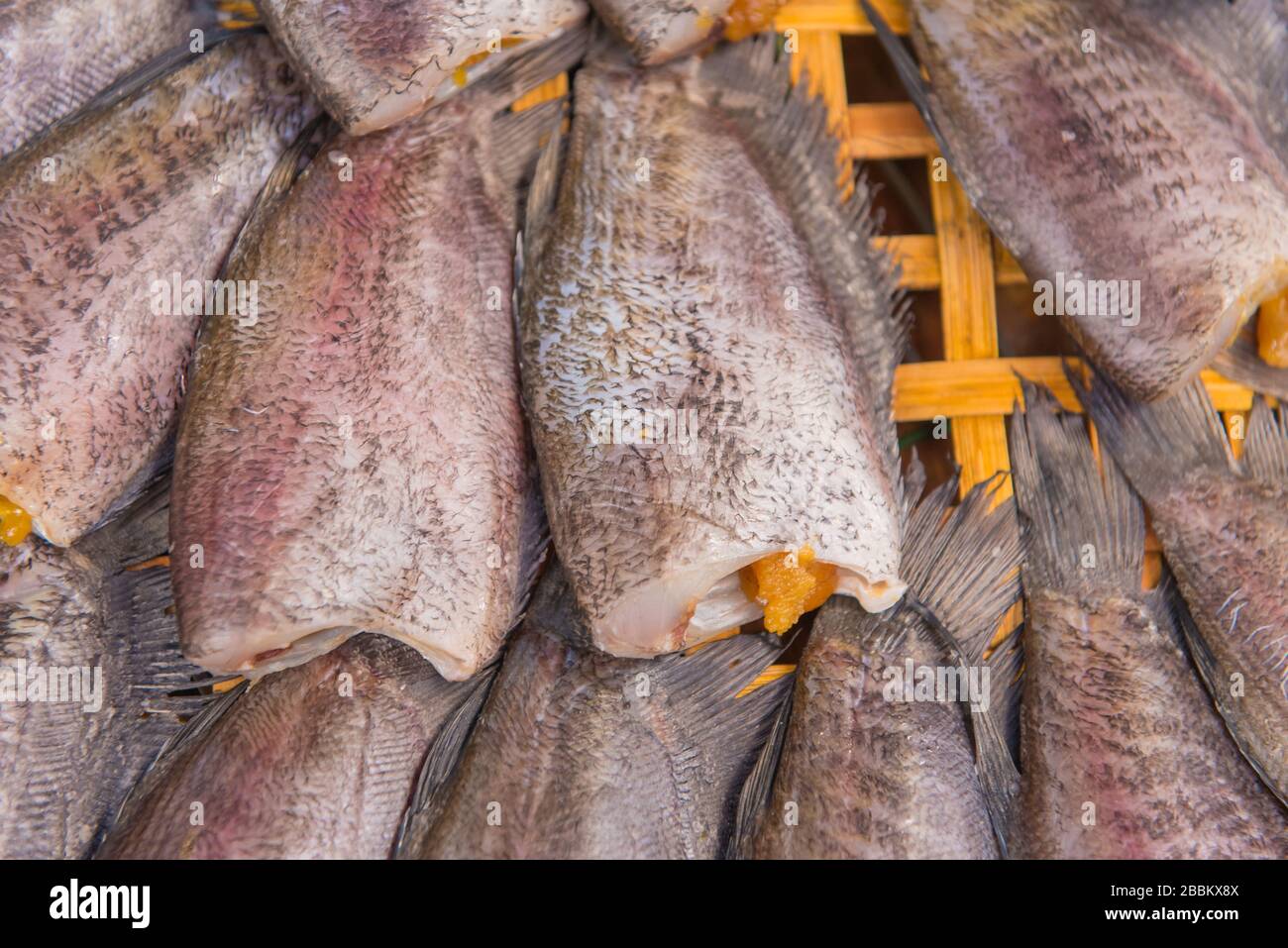 Trichogaster pectoralis, Dry fish out salty for cooking Stock Photo