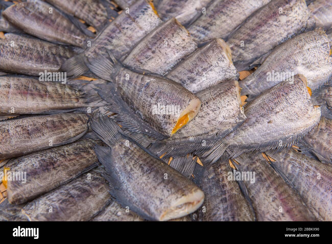 Trichogaster pectoralis, Dry fish out salty for cooking Stock Photo