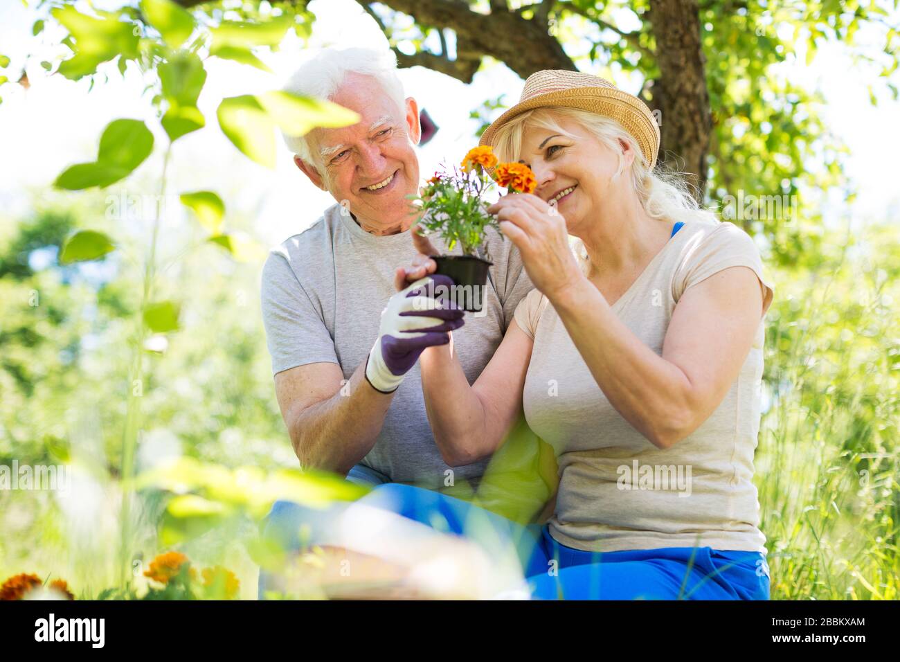 Couple pensioners gardening hi-res stock photography and images - Alamy