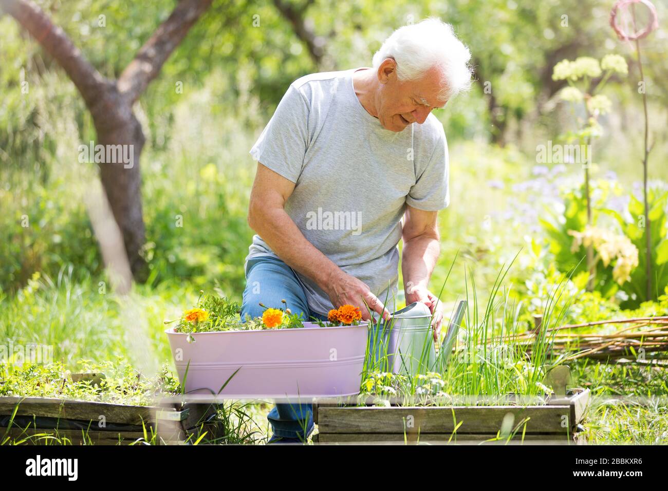 Smiling happy elderly seniors couple gardening Stock Photo - Alamy