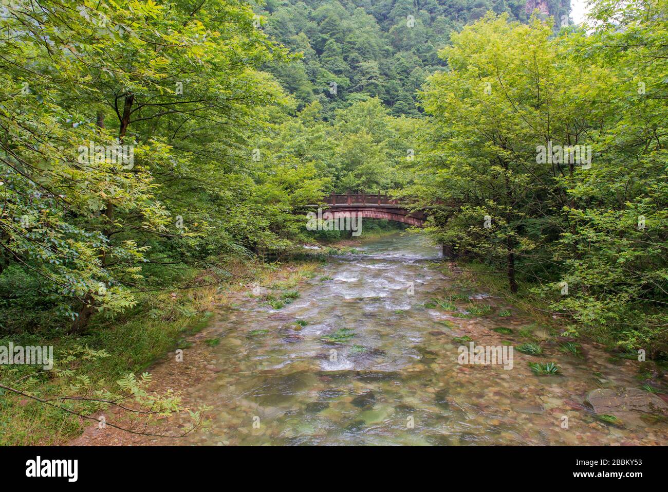 Waterfall And Bridge In Golden Whip Stream At Zhangjiajie National Forest Park Hunan China Stock Photo Alamy