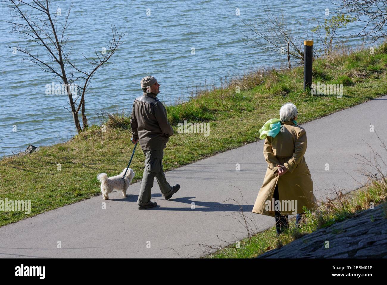 Wien, Vienna: pedestrians with distance due to corona virus, dog, in 21. Floridsdorf, Wien, Austria Stock Photo