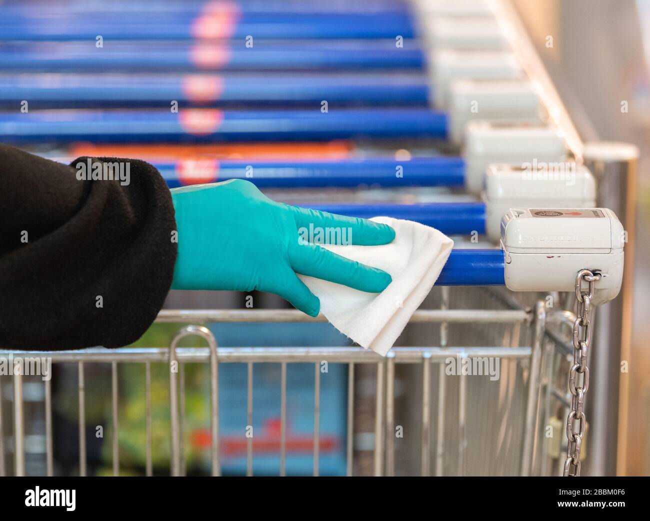 01 April 2020, Saxony, Dresden: An employee of the security service of a 'Konsum' supermarket wears protective gloves while wiping the handle of a customer's shopping trolley with a disinfectant wipe before visiting the market. In order to slow the spread of the corona virus, the federal government has further severely restricted public life. The novel coronavirus is mainly transmitted by droplet infection. Photo: Robert Michael/dpa-Zentralbild/dpa Stock Photo
