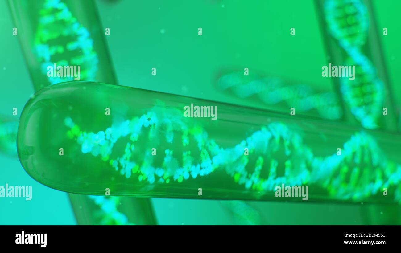 DNA molecule, its structure. Concept human genome. DNA molecule with modified genes. Conceptual illustration of a dna molecule inside a glass test Stock Photo