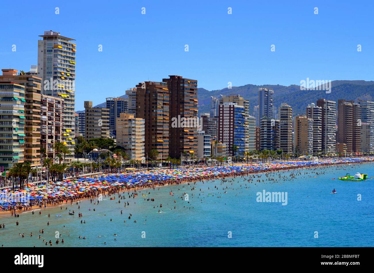 Levante Beach in Benidorm at the height of summer. There are thousands of parasols along the busy beach. Stock Photo