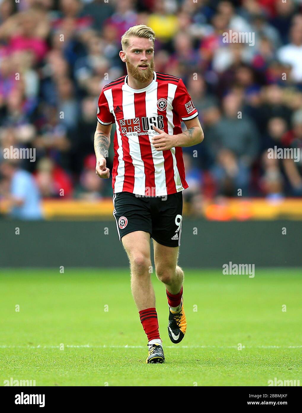 Oliver mcburnie of sheffield united hires stock photography and images