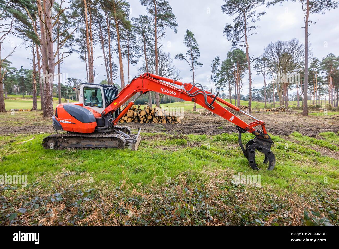 KUBOTA KX080-3 mini digger, rubber tracked midi excavator being used for tree felling and logging, Surrey, south-east England Stock Photo