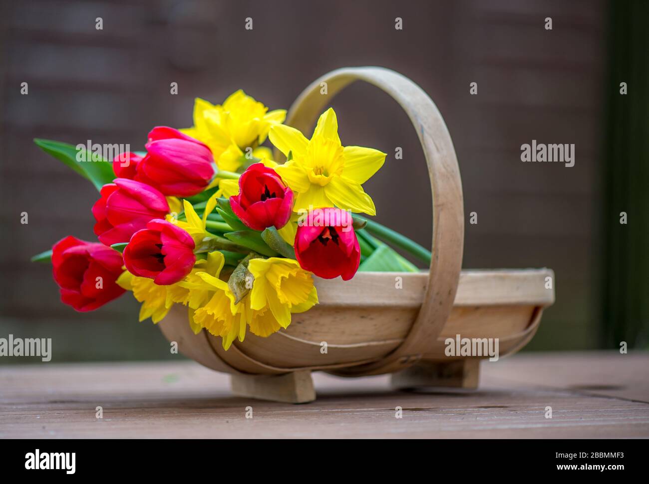 English Country Garden. Cut flowers in a wooden trug. Towcester, Northamptonshire, UK Stock Photo
