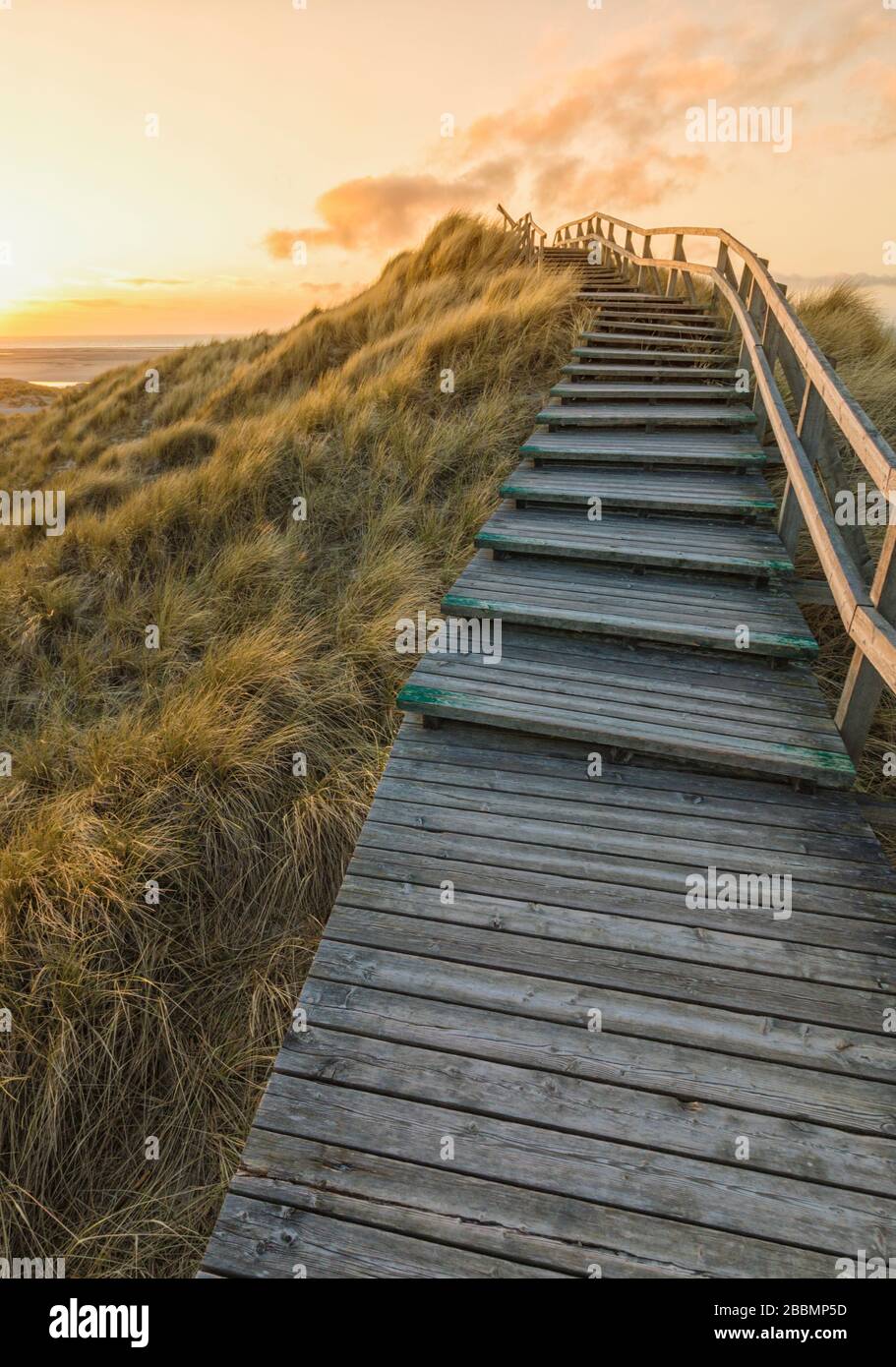Wooden stairs crossing the dunes to the beach of Norddorf on the German North Sea island of Amrum in vibrant sunset Stock Photo