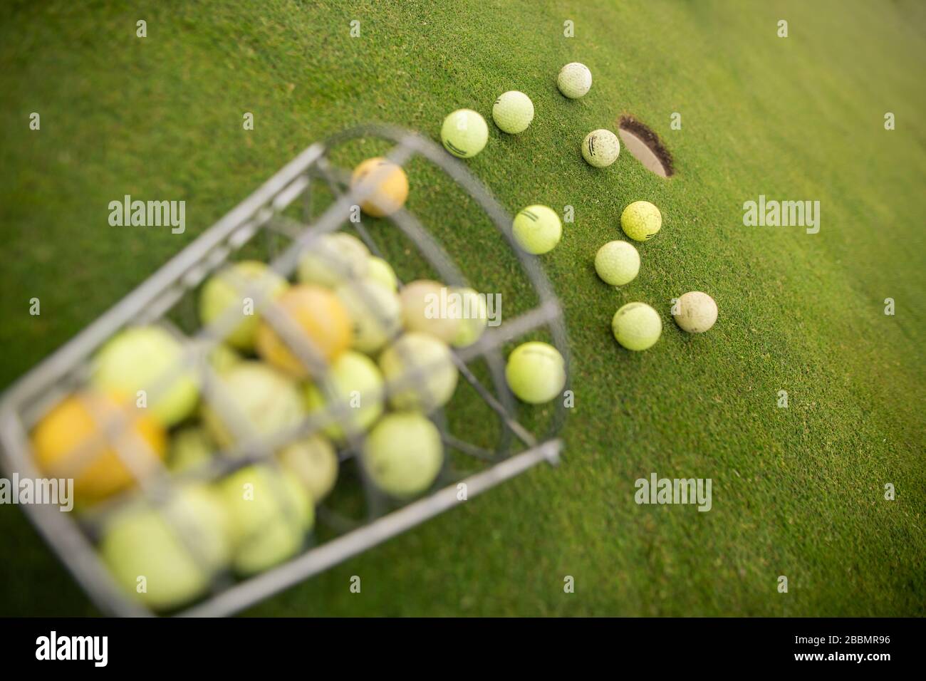 Starting pack for golf players, a lot of training balls on the ground