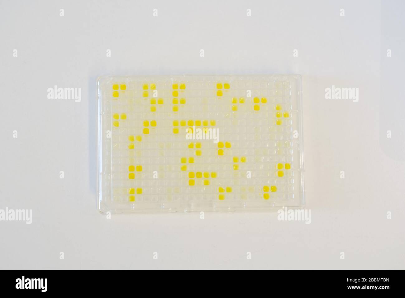 Brunswick, Germany. 01st Apr, 2020. An Elisa plate with antibodies is in the laboratory of the life science company Yumab. The start-up company conducts research into the development of human antibodies and is trying to develop drugs against Covid-19. Credit: Ole Spata/dpa/Alamy Live News Stock Photo