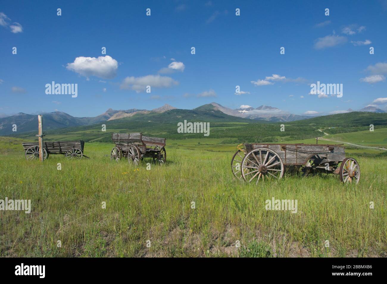 Old wagons in Southern Alberta in Canada Stock Photo Alamy