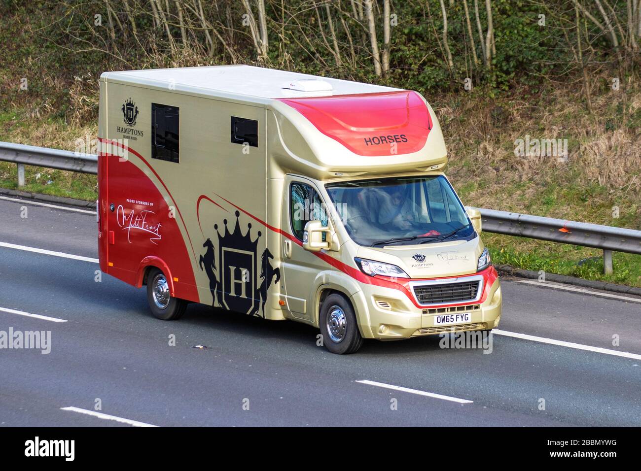 2016 gold Peugeot Boxer 435 Professional L4 a Hamptons horsebox van; Animal transport travelling on the M6 motorway, Lancashire, UK Stock Photo