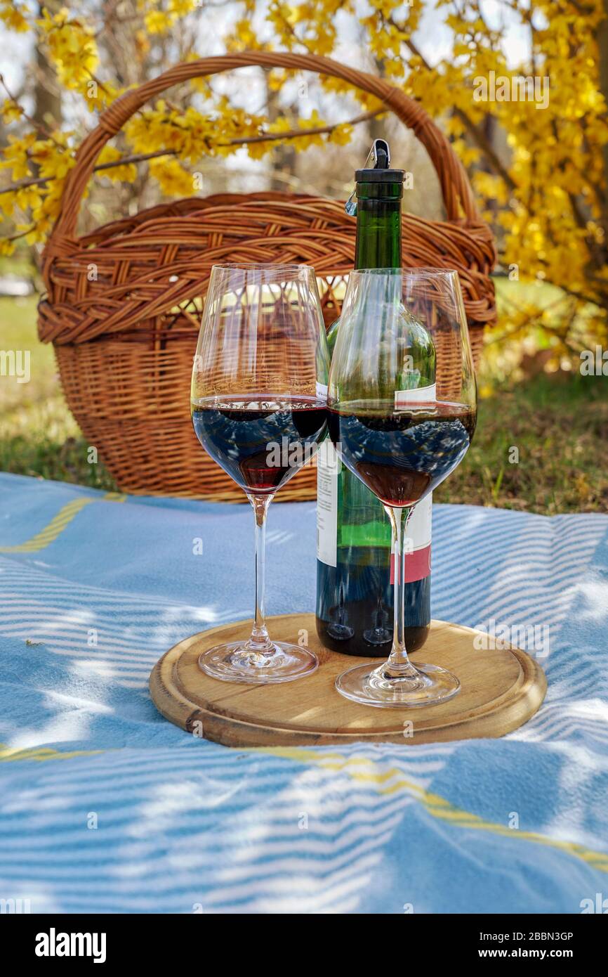 activities at home during isolation have a picnic with wine in your own garden Stock Photo