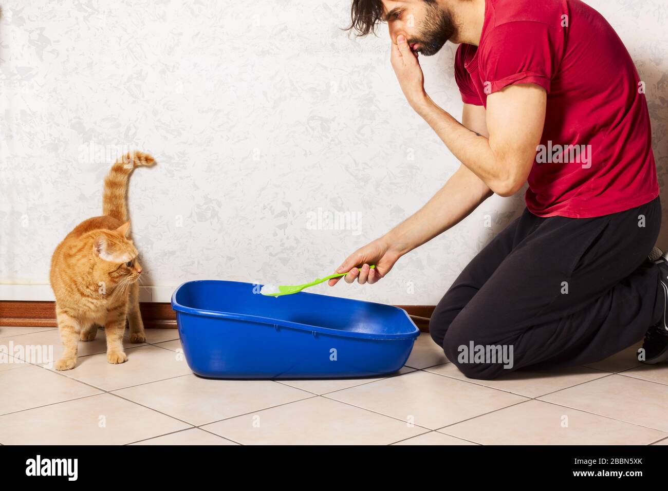 Adult person's hand removing and cleaning cat litter box from clumps of