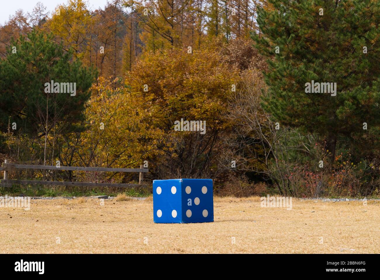 Blue giant huge dice at the center of a park. Stock Photo