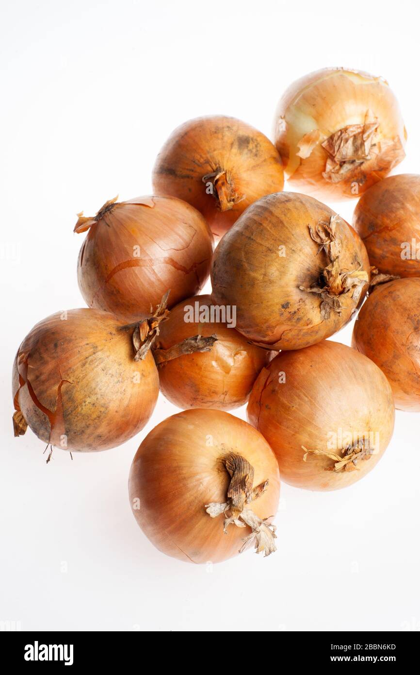 Studio shot of onions isolated on white background. Healthcare and