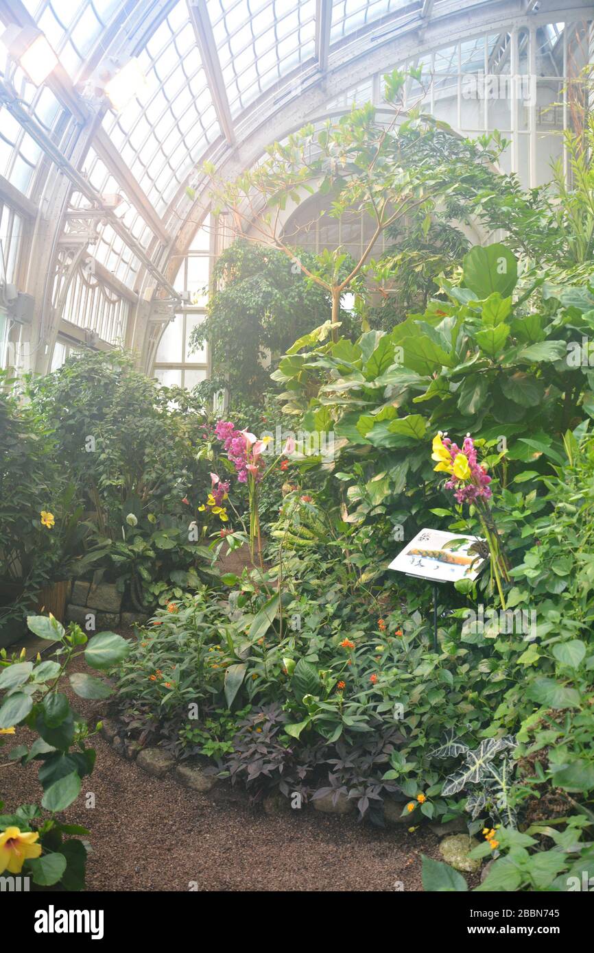 Butterfly house in Vienna Stock Photo Alamy