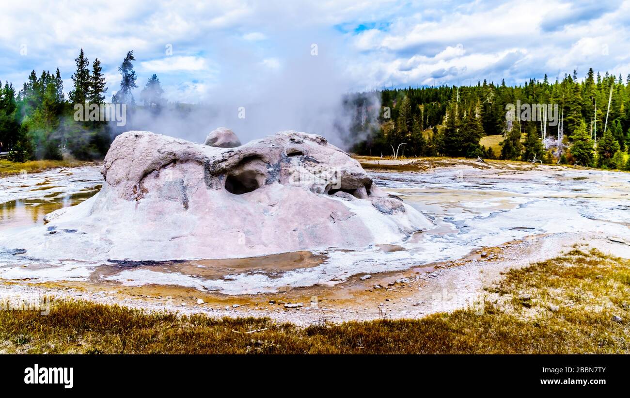 Steam and water percolating from the Grotto Geyser in the Upper Geyser Basin along the Continental Divide Trail in Yellowstone National Park, Wyoming Stock Photo