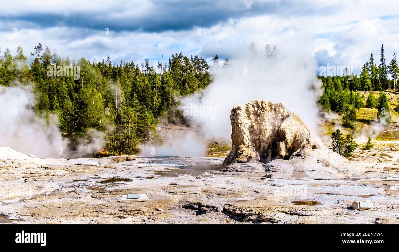 Steam and water percolating in the Upper Geyser Basin along the Continental Divide Trail in Yellowstone National Park, Wyoming, United States Stock Photo