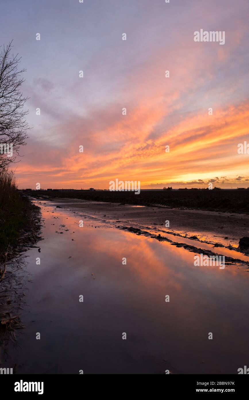Colorful clouds illuminated by the setting sun with beautiful reflections in a pool of water after a rainy day. Stock Photo
